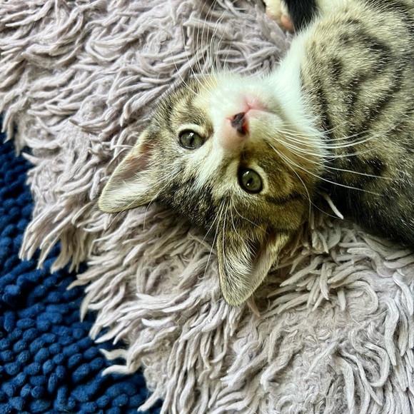 😍See something you must have? - Picture 13 of 16